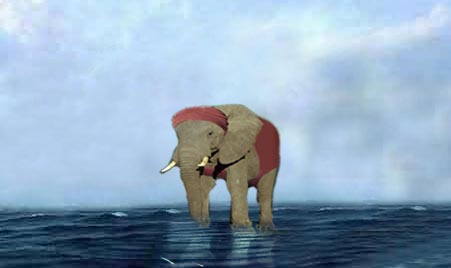 Diseño de Photoshop por SamiOrfali para DesignCrowd (Community Contests) | Diseño #9030499