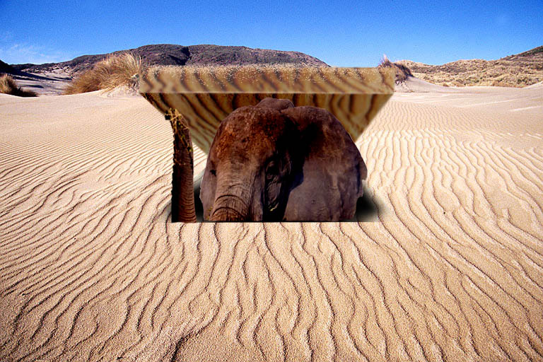 Design Photoshop par marijnpeter pour DesignCrowd (Community Contests) | Design #9030495