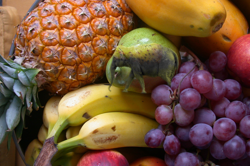 Photoshop Design by primadonna9396 for DesignCrowd (Community Contests) | Design #9030584