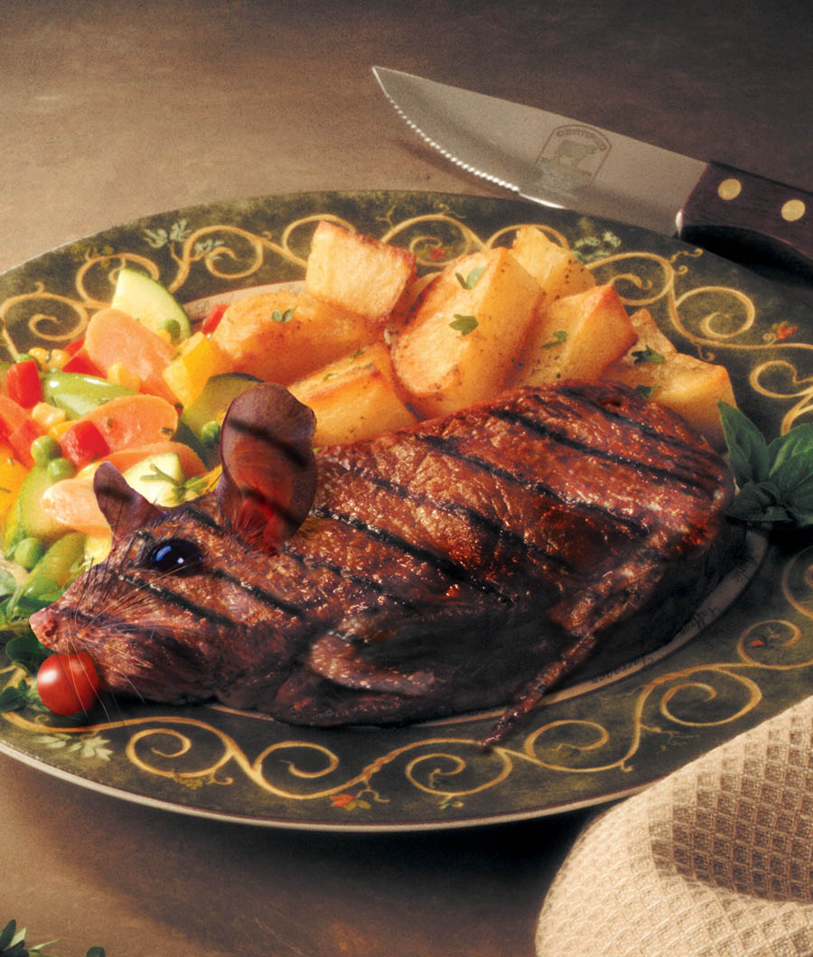 Photoshop-Design von Penbender für DesignCrowd (Community Contests) | Design #9028669