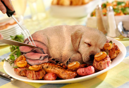 Design Photoshop par Deborahb pour DesignCrowd (Community Contests) | Design #9028728