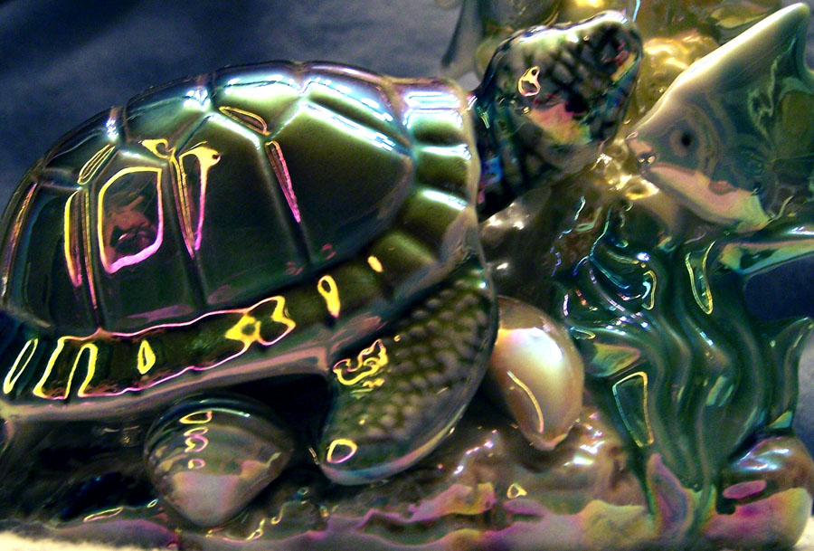 Photography by khudson for DesignCrowd (Community Contests) | Design #9030392