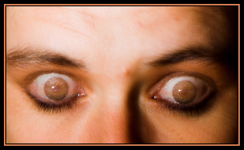 Photography by kimbomac for DesignCrowd (Community Contests) | Design #9026974