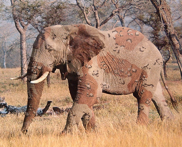 Diseño de Photoshop por Crackity para DesignCrowd (Community Contests) | Diseño #9030751