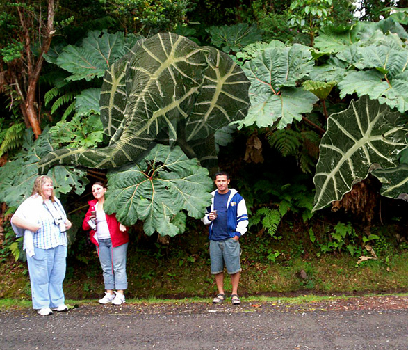 Photoshop-Design von Lacenflanl für DesignCrowd (Community Contests) | Design #9030716