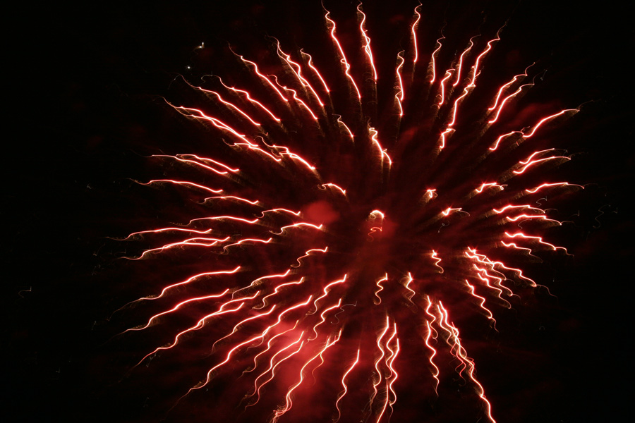 Photography by furfree for DesignCrowd (Community Contests) | Design #9023868