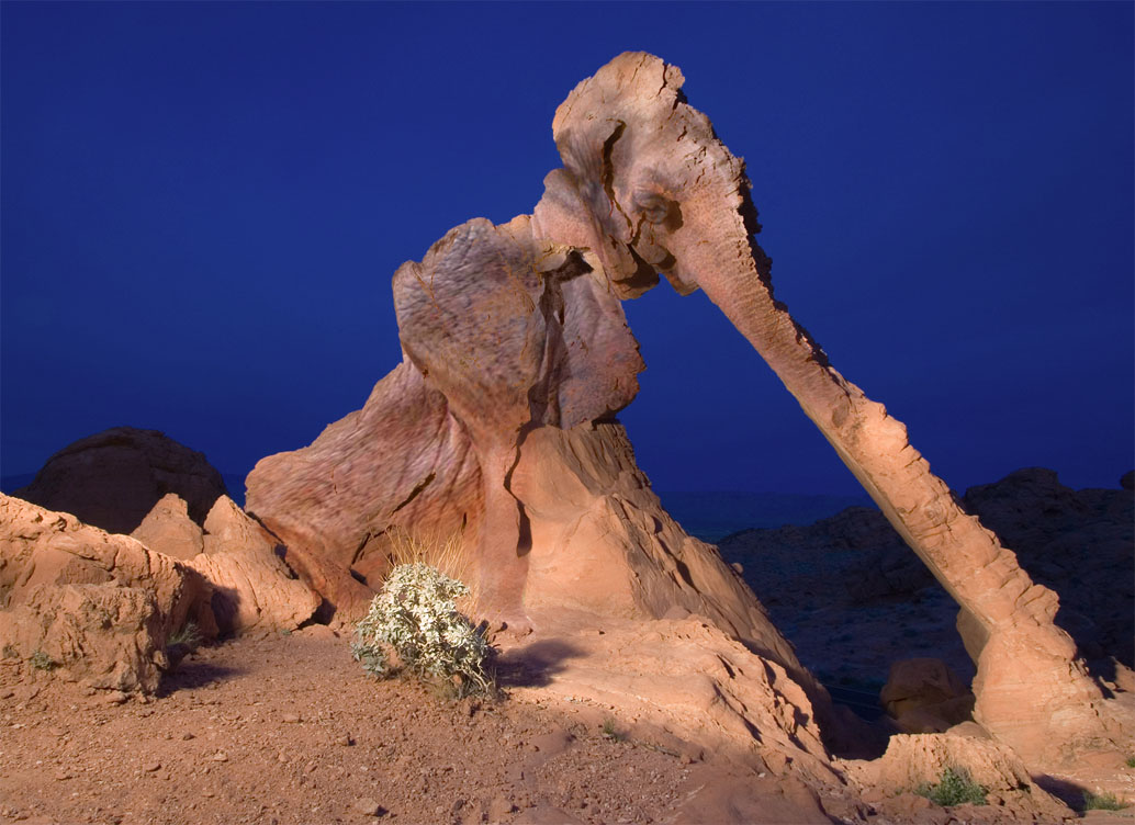 Diseño de Photoshop por clara1156 para DesignCrowd (Community Contests) | Diseño #9030685