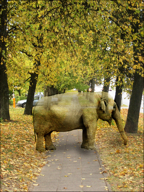 Photoshop Design by scottjohnstone for DesignCrowd (Community Contests) | Design #9030670