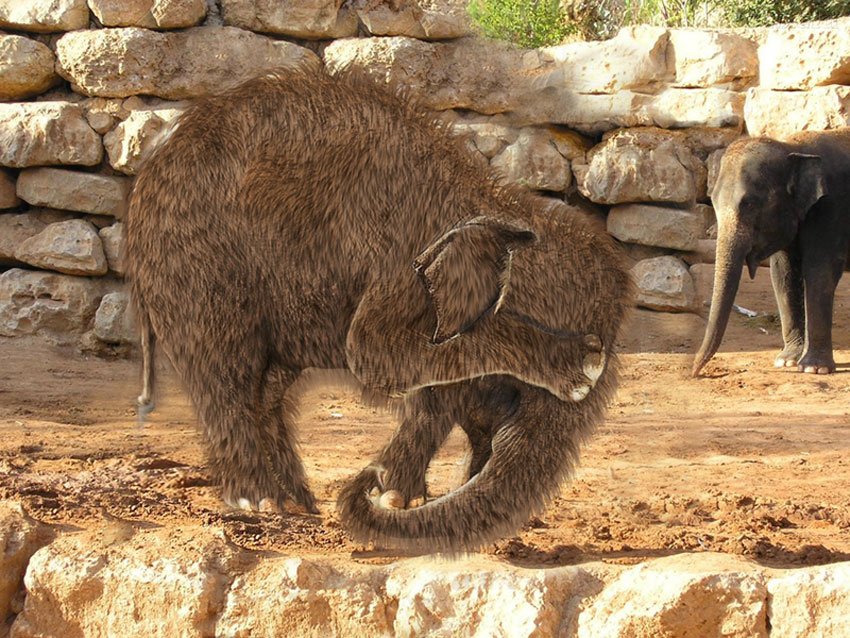 Photoshop-Design von zynnya für DesignCrowd (Community Contests) | Design #9030694