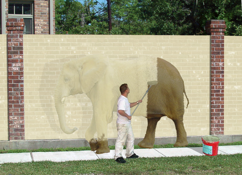 Photoshop Design by swamprat for DesignCrowd (Community Contests) | Design #9030647