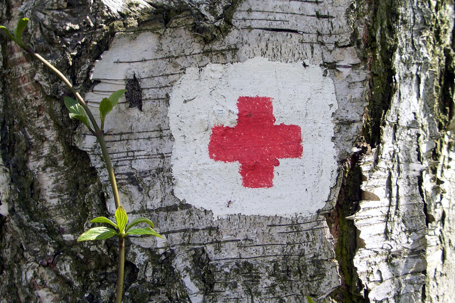 Fotografía por Bastet para DesignCrowd (Community Contests) | Diseño #9036437