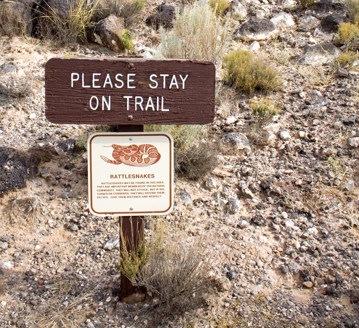 Photographie par drdonallen pour DesignCrowd (Community Contests) | Design #9036448