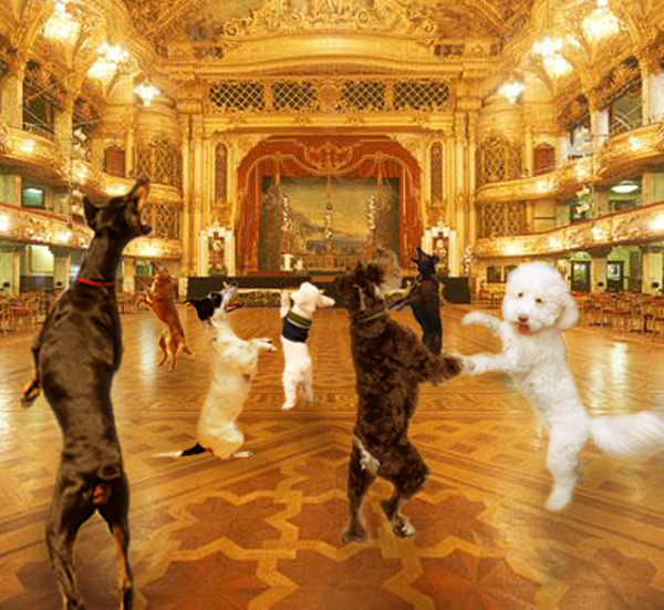 Photoshop Design by RachelB for DesignCrowd (Community Contests) | Design #9035483