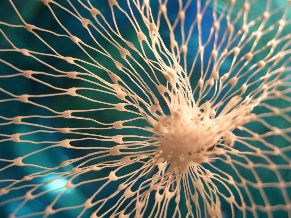 Photographie par cliknsnap pour DesignCrowd (Community Contests) | Design #9030061