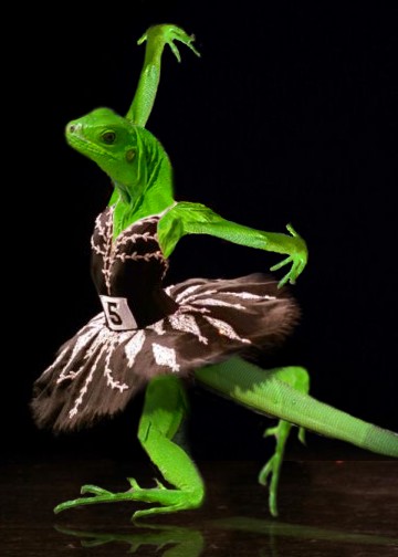 Photoshop Design by ibarra01 for DesignCrowd (Community Contests) | Design #9035457