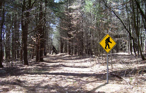 Design Photoshop par PeterAAAWelch pour DesignCrowd (Community Contests) | Design #9031762