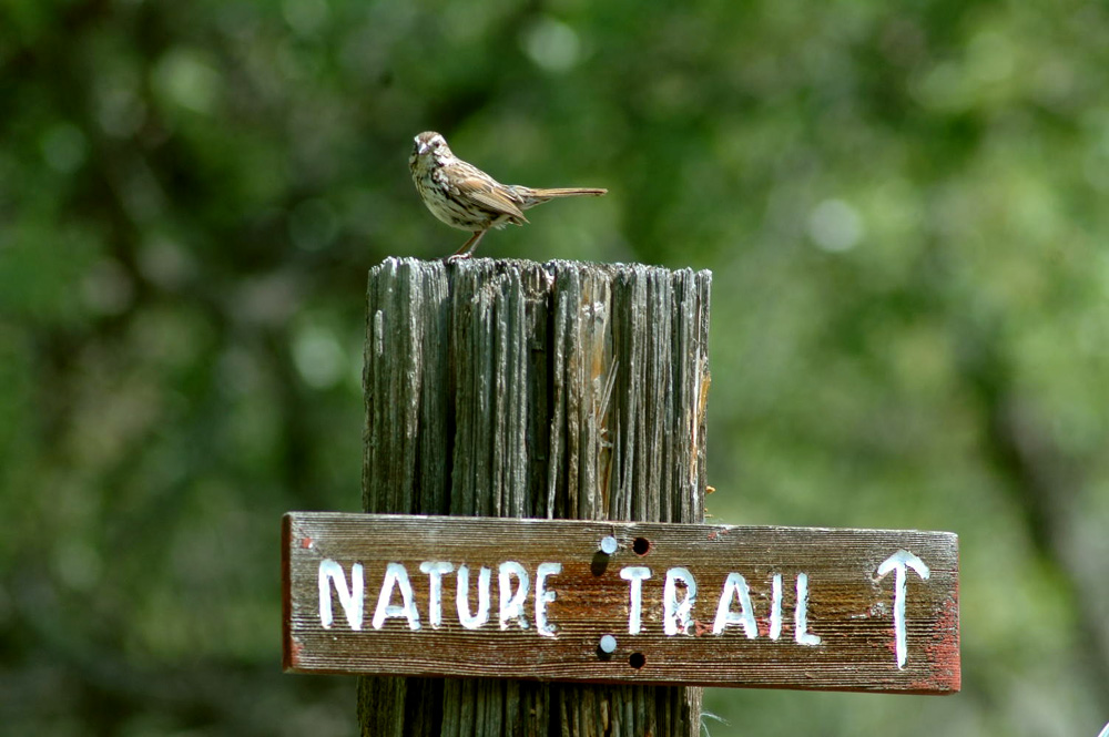 Photography by Larvice for DesignCrowd (Community Contests) | Design #9036514