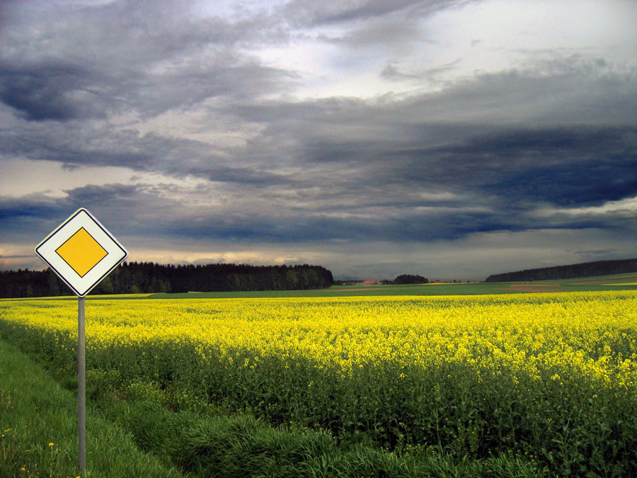 Photographie par elchkuh pour DesignCrowd (Community Contests) | Design #9036508