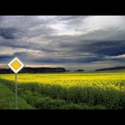 Photography by elchkuh