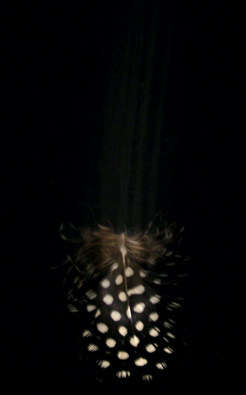 Photography by KGrobler for DesignCrowd (Community Contests) | Design #9024048