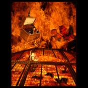 Photography by bozosafari