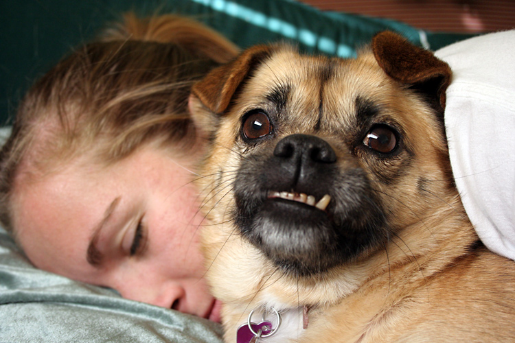 Photography by lilhorseebabee for DesignCrowd (Community Contests) | Design #9028900