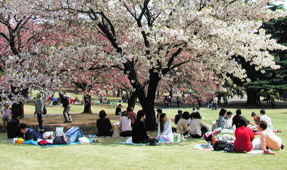 Fotografie von NatashaP für DesignCrowd (Community Contests) | Design #9028924