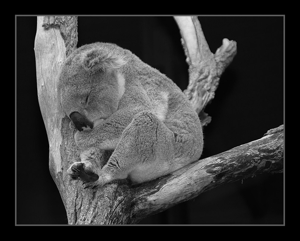 Photographie par gymp93 pour DesignCrowd (Community Contests) | Design #9035512