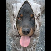 Photoshop Design by lords8n