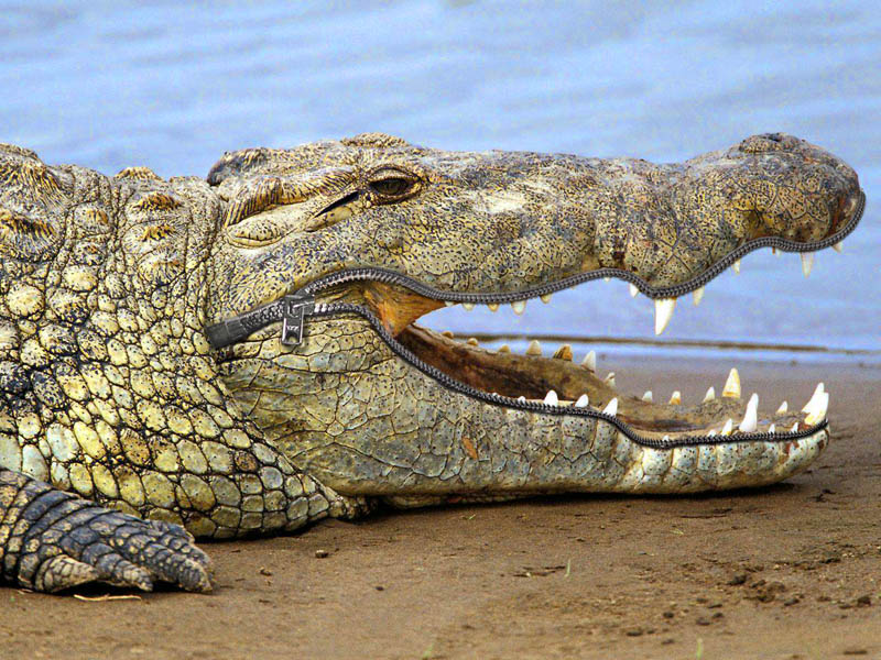 Design Photoshop par Nimorn pour DesignCrowd (Community Contests) | Design #9029216