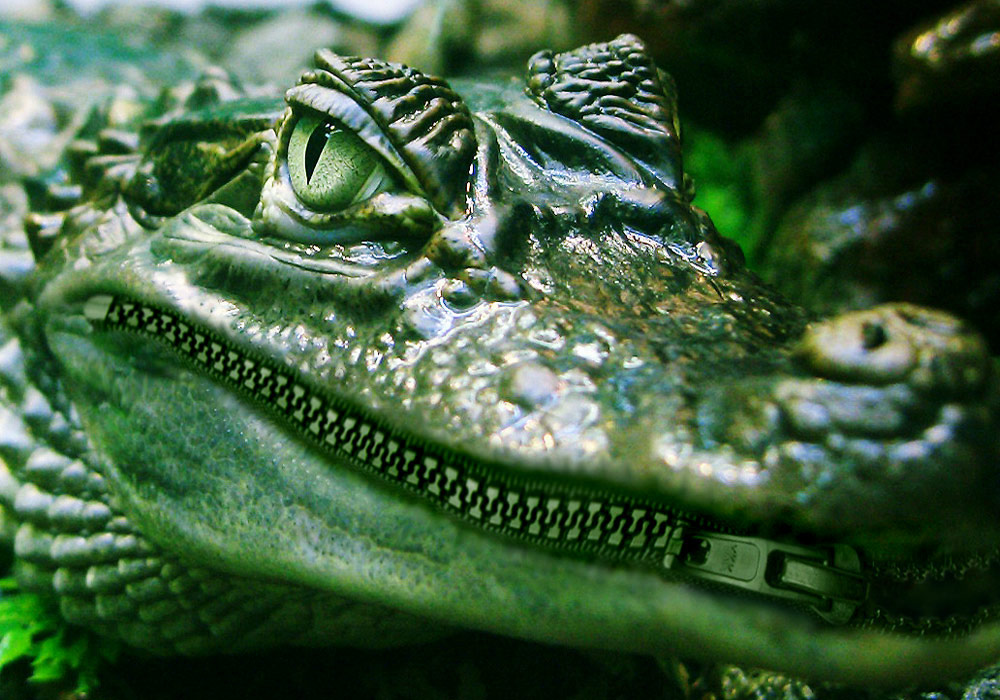 Photoshop Design by bananasfritters for DesignCrowd (Community Contests) | Design #9029236