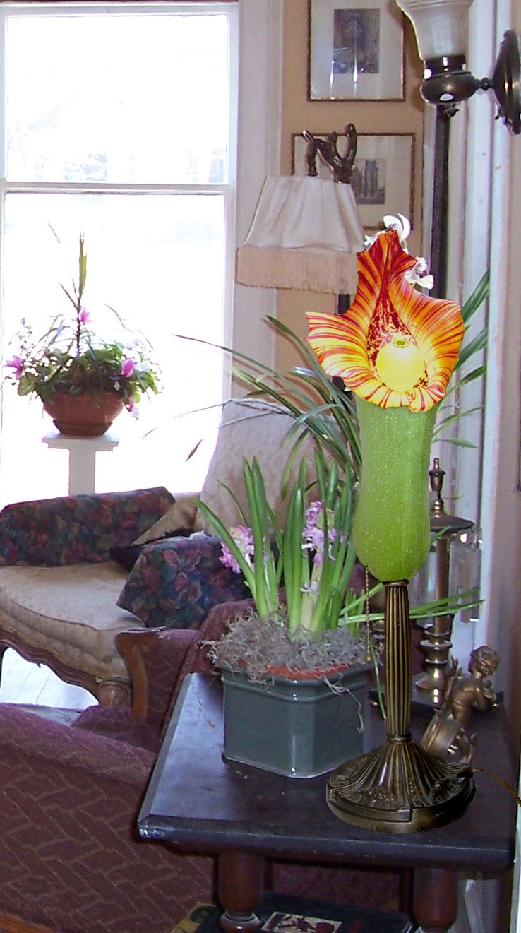 Photoshop Design by LadyLexx for DesignCrowd (Community Contests) | Design #9028761