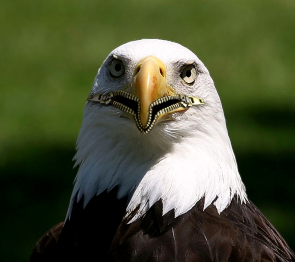 Photoshop Design by Mishikal for DesignCrowd (Community Contests) | Design #9029259