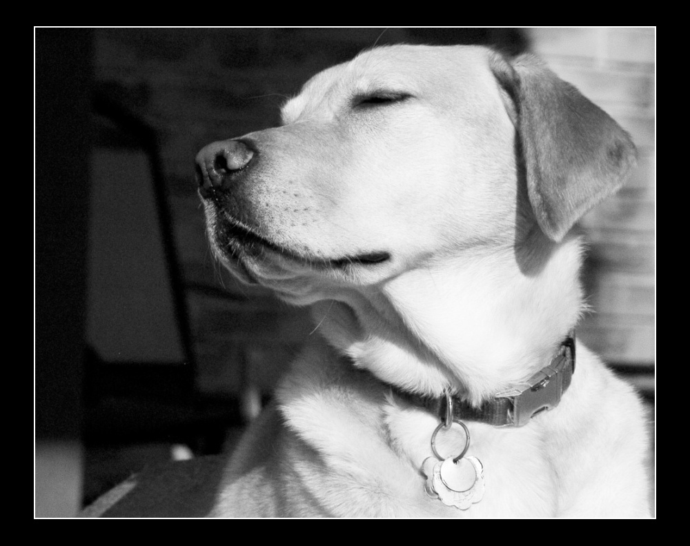 Fotografie von TheDuck für DesignCrowd (Community Contests) | Design #9035540