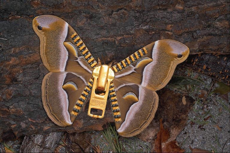 Diseño de Photoshop por Heraldo para DesignCrowd (Community Contests) | Diseño #9029385