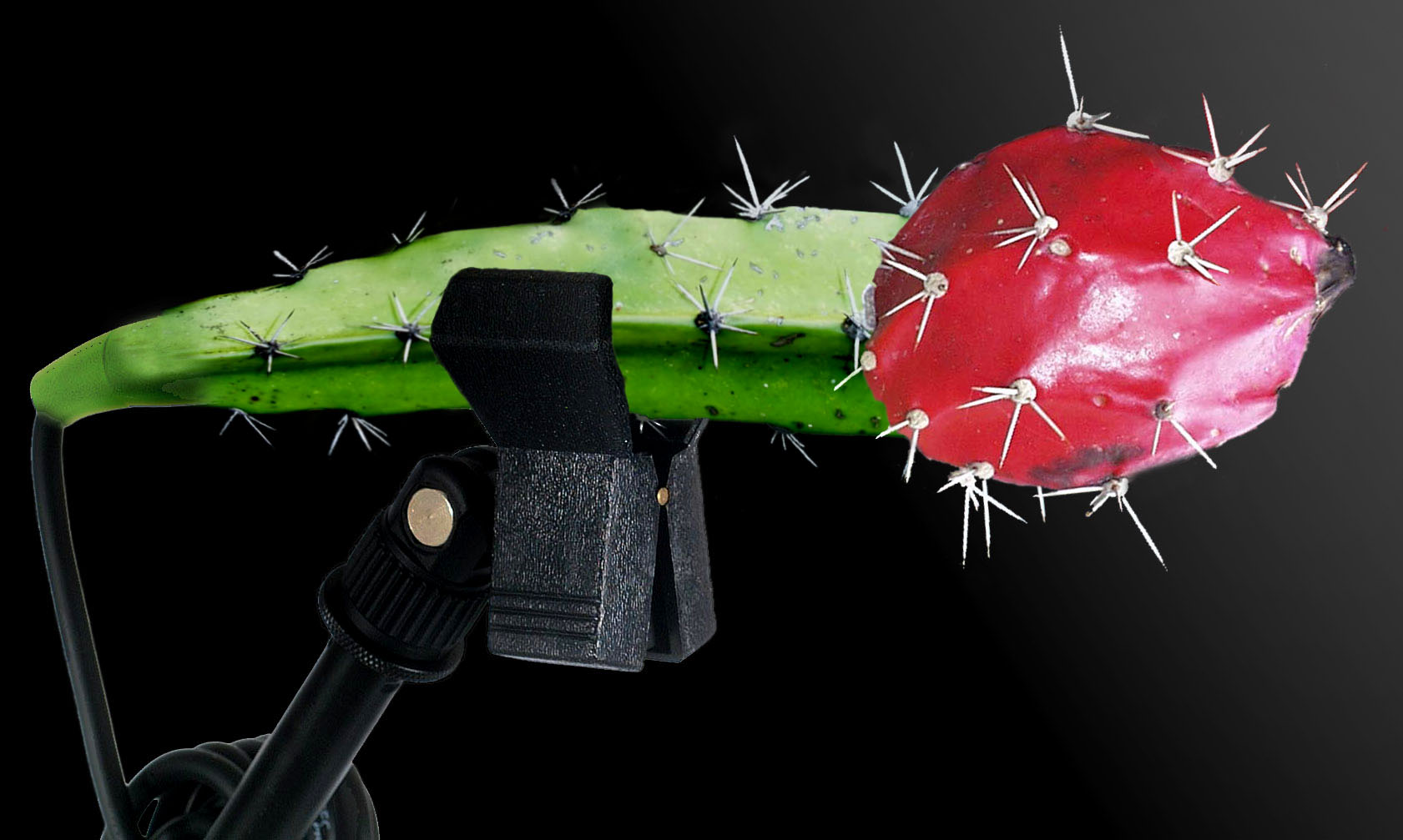 Photoshop Design by LicenBellita for DesignCrowd (Community Contests) | Design #9028773