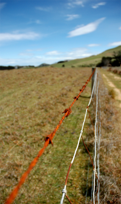 Fotografía por shazamataz para DesignCrowd (Community Contests) | Diseño #9023344