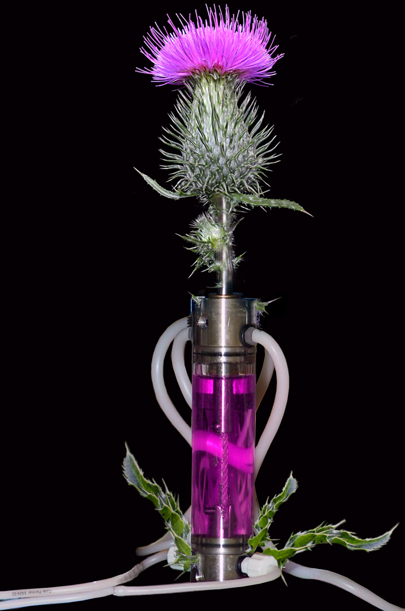 Photoshop-Design von DutchPuh für DesignCrowd (Community Contests) | Design #9028792