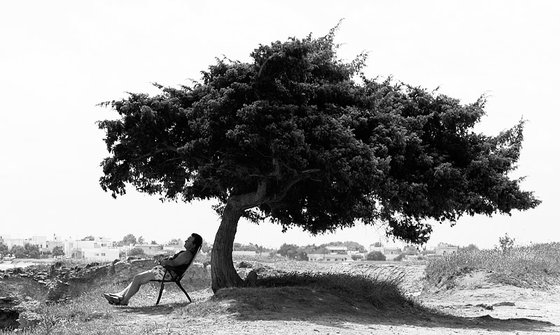 Fotografía por torkio para DesignCrowd (Community Contests) | Diseño #9028968