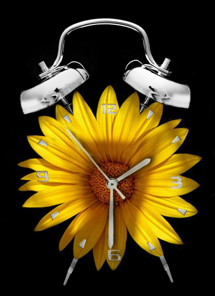 Design Photoshop par ozlemarc pour DesignCrowd (Community Contests) | Design #9028798