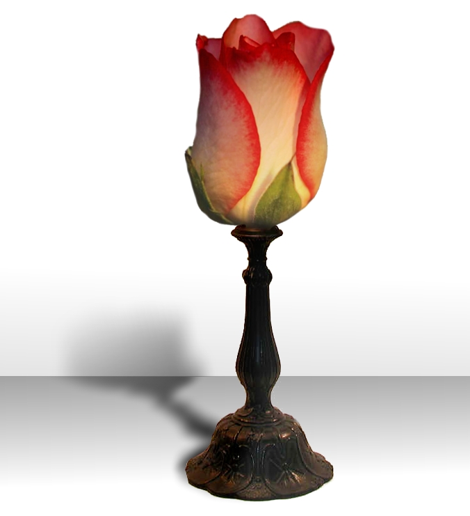 Photoshop Design by Mishikal for DesignCrowd (Community Contests) | Design #9028819