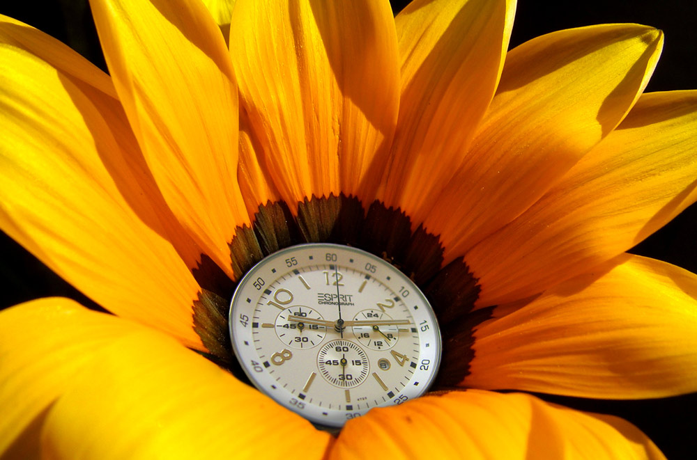 Photoshop Design by petino for DesignCrowd (Community Contests) | Design #9028848