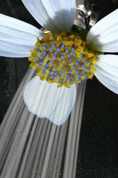 Photoshop Design by jersalv1 for DesignCrowd (Community Contests) | Design #9028860