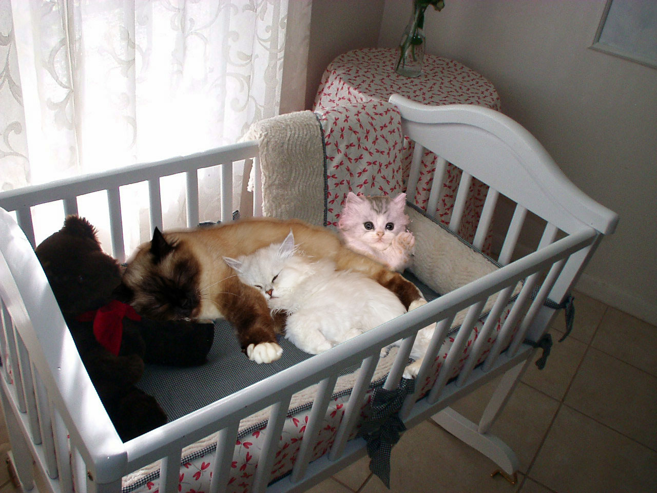 Design Photoshop par renzo75 pour DesignCrowd (Community Contests) | Design #9027041