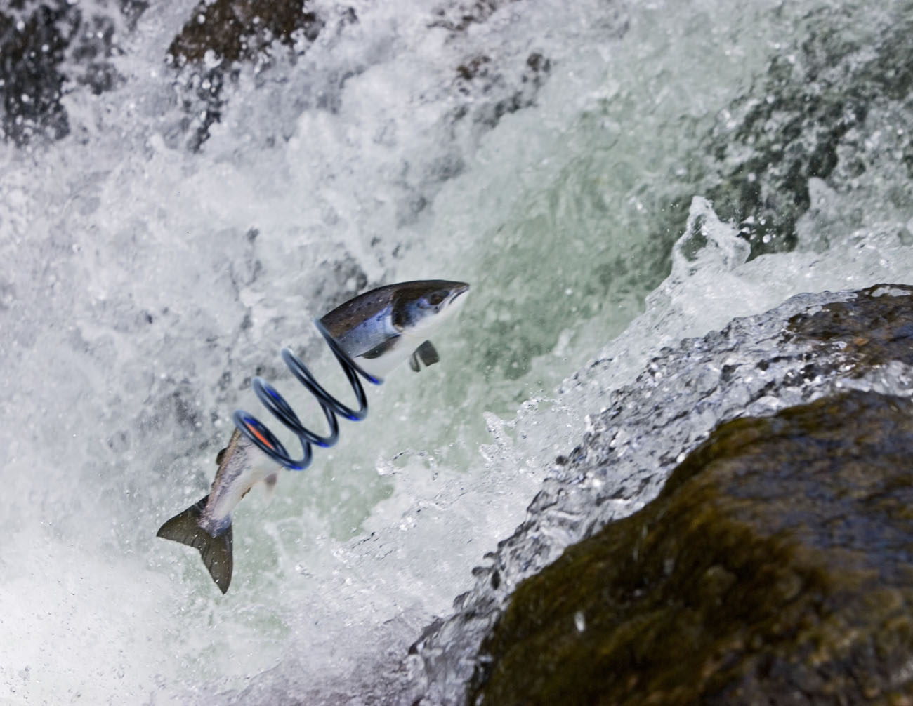 Diseño de Photoshop por swemax para DesignCrowd (Community Contests) | Diseño #9031344