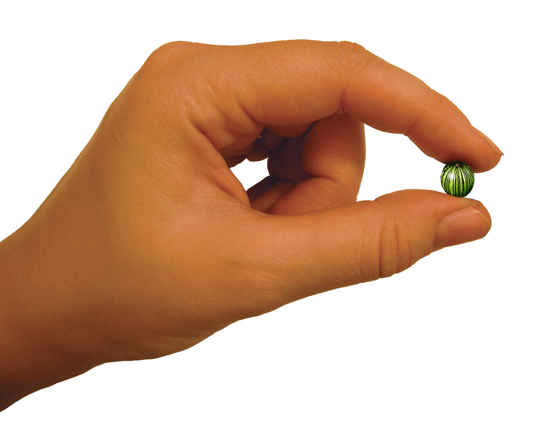 Design Photoshop par DebCam pour DesignCrowd (Community Contests) | Design #9022305