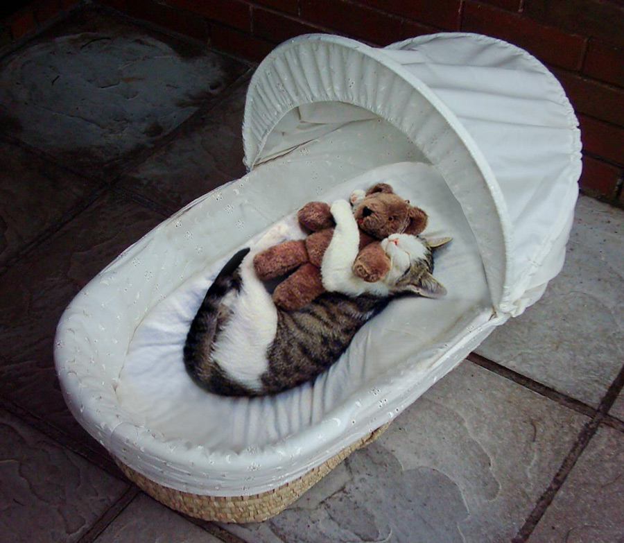 Photoshop Design by Supagray for DesignCrowd (Community Contests) | Design #9027099