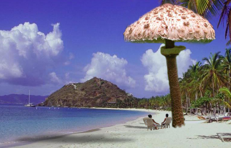 Photoshop Design by Saddy10 for DesignCrowd (Community Contests) | Design #9022457