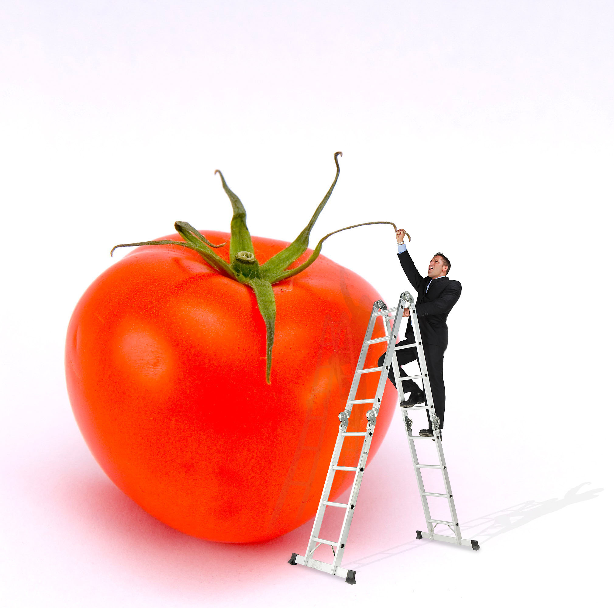 Photoshop Design by Photech for DesignCrowd (Community Contests) | Design #9022401