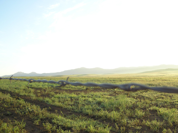 Photography by bobulus for DesignCrowd (Community Contests) | Design #9023427